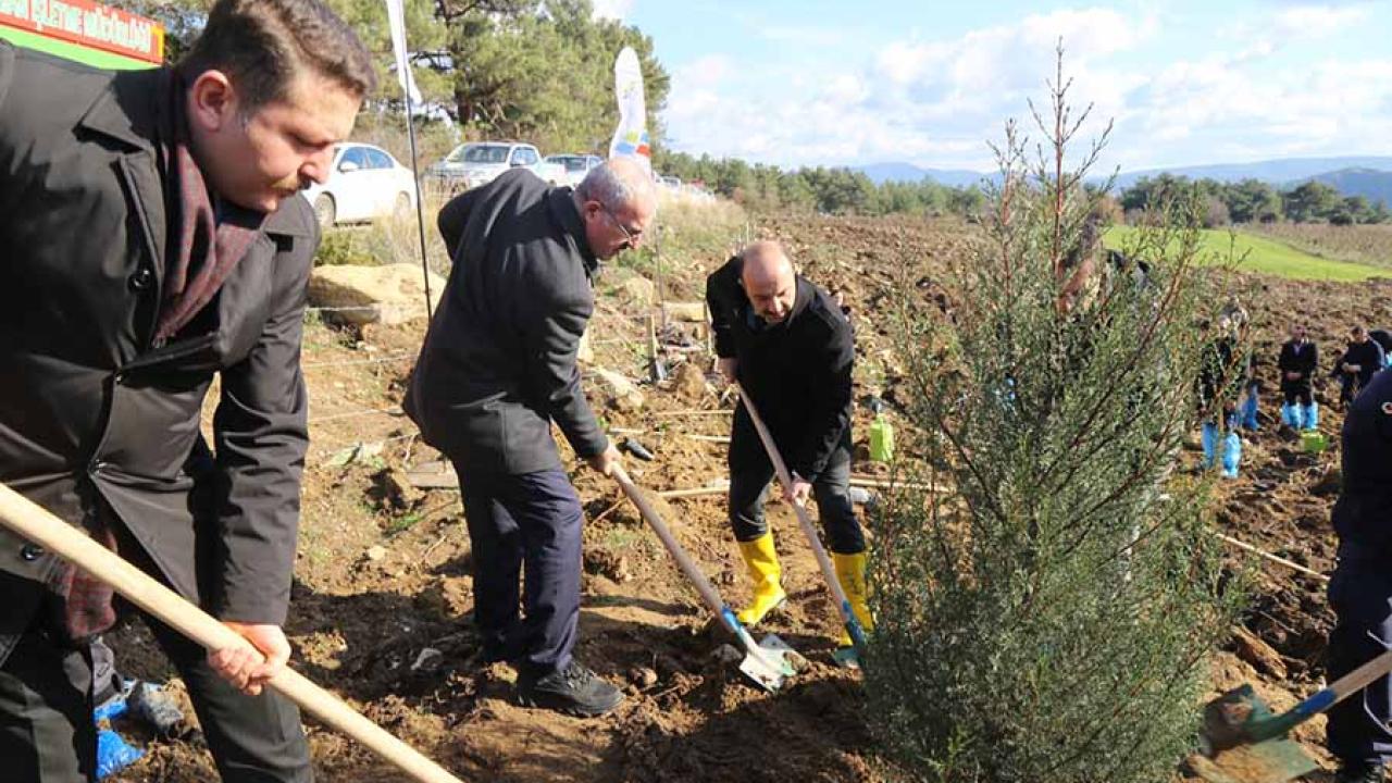 Lapseki’de Yeşil Seferberlik: "GMKA Hatıra Ormanı" Geleceğe Nefes Olacak!