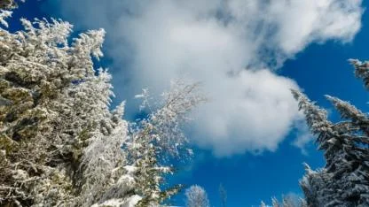 Meteoroloji ve AKOM’dan Peş Peşe Uyarı: 7 Ocak’ta Sibirya Soğukları Geliyor!