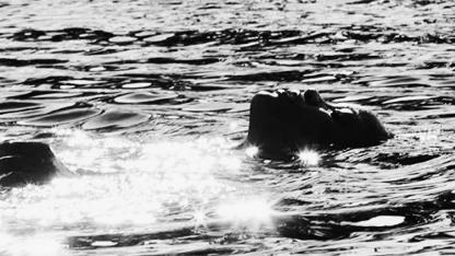 Milyarderler Kulübünde: Pop Müziğin En Zengin Kadını