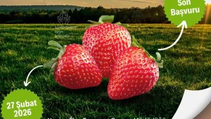 Yenice'de Organik Tarım Desteği Başvuruları Başladı