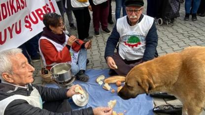 Küçükkuyu’da emekli eylemi üçüncü gününde! Emekliler ekmeğini sokak hayvanlarıyla bölüştü