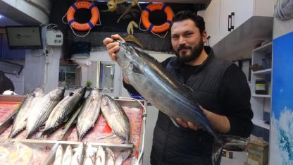 İklim Değişti, Takvim Şaştı! Çanakkale'de beklenen torik ocak sonunda geldi