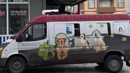 Kalkım'da sokak hayvanları  Saraycık Hayvan Barınağı’na nakledildi