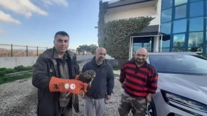 Umurbey’de Yaralı Şahin Seferberliği: DKMP Ekipleri Harekete Geçti