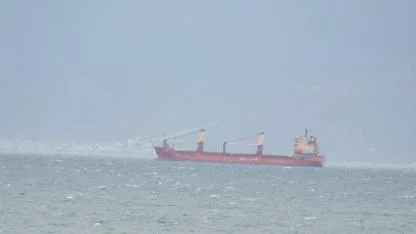 Yük gemileri Edremit Körfezi'ne sığındı