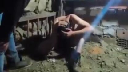 17 Yaşındaki Çocuğa Kan Donduran İşkence! Köpek Saldırtılan Görüntüler Ortaya Çıktı