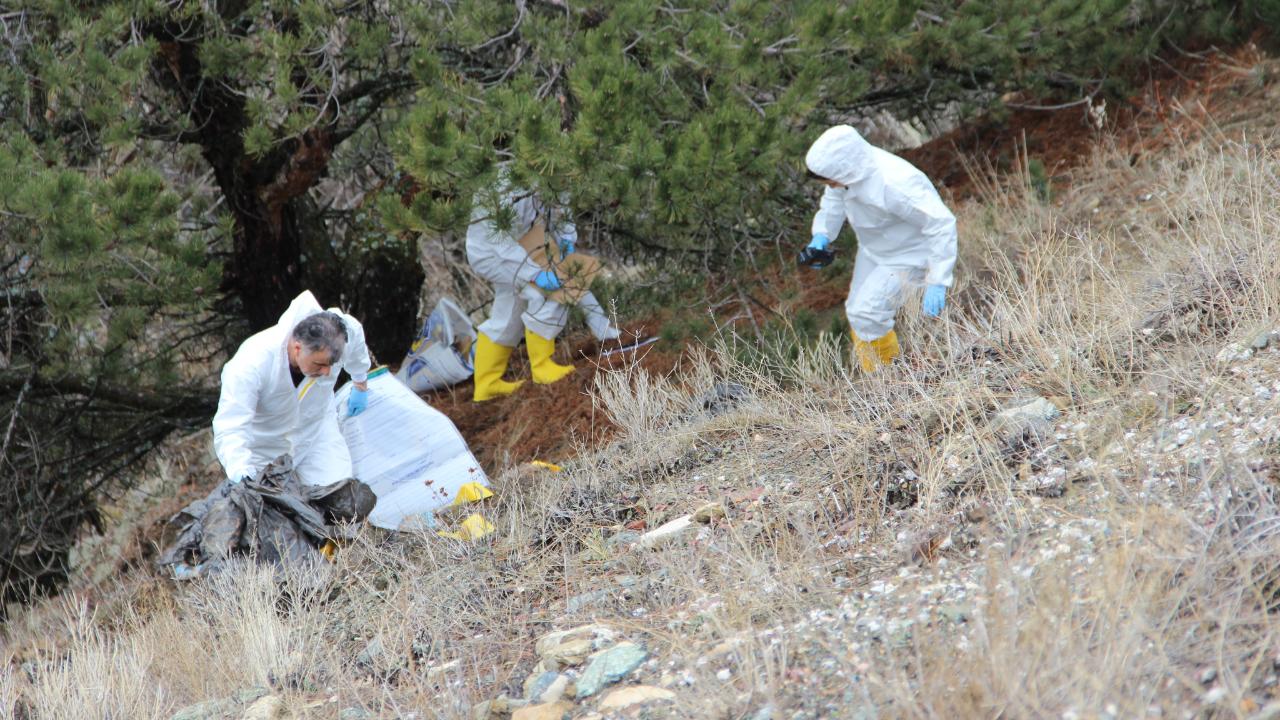 6 Gündür Aranıyordu Parçalanmış Halde Bulundu! Kafası Kayıp!