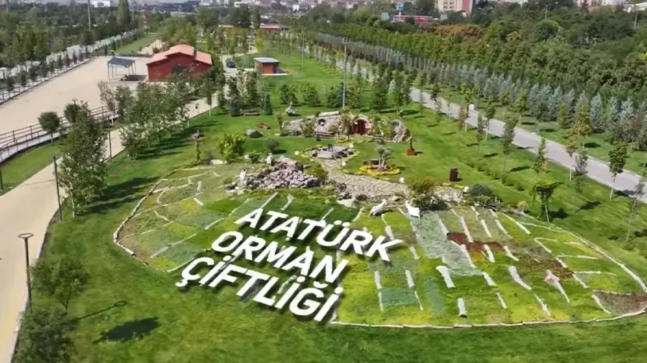 Ankara'nın Kalbinde Dev İhale! Atatürk Orman Çiftliği Taşınmazını Kiraya Veriyor