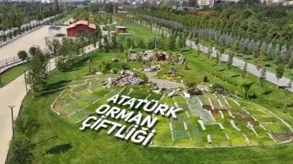 Ankara'nın Kalbinde Dev İhale! Atatürk Orman Çiftliği Taşınmazını Kiraya Veriyor