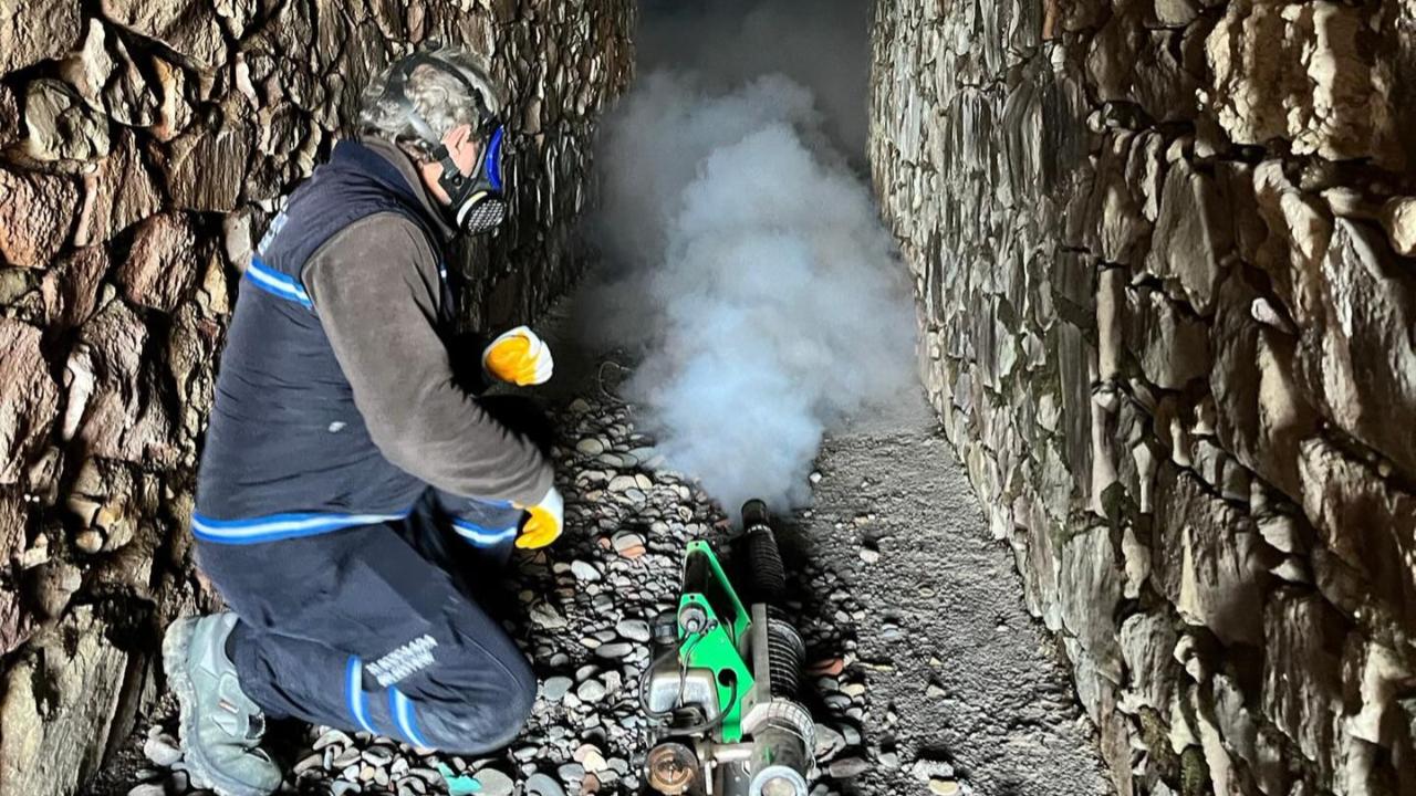 Bozcaada genelinde ilaçlama seferberliği