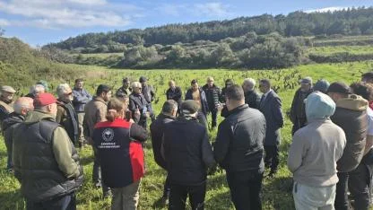 Bozcaada’da Bağlar Yeniden Doğuyor: Üreticilere "Modern Budama" Eğitimi