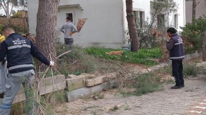 Bozcaada'nın dört bir yanında temizlik hareketi