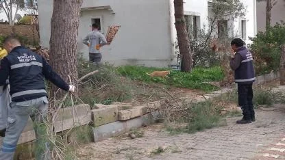 Bozcaada'nın dört bir yanında temizlik hareketi