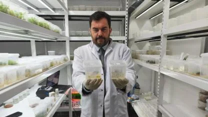 ÇOMÜ’nün Patentli Ürünü Eczanelerde: Diş Otu Artık Gençlik İksiri Oldu! 30 Dakikada Kırışıklıklara Veda!