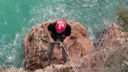 Dalgaların Arasındaki Kedi İçin Film Gibi Operasyon!