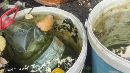 Kepez’de "Sivrisinek" Seferberliği: Bir avuç su, yüzlerce sineğe dönüşmesin!