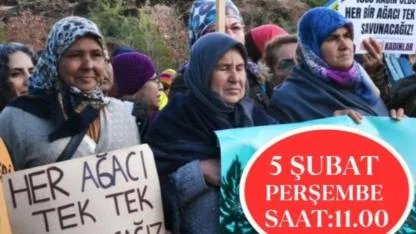 Kazdağları’nda Kritik Gün: Halilağa Bakır Madeni İçin Bilirkişi Keşfi Yapılacak
