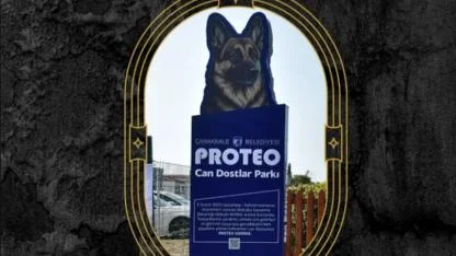 Adı Esenler’de, Anısı Kalplerde Yaşıyor: Patili Kahraman Proteo Unutulmadı