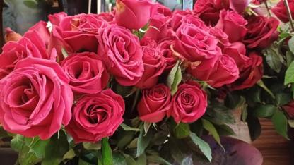 Sevgililer Günü’nde En Çok O Çiçek Satılıyor: Fiyatlar 650 TL’den Başlıyor!