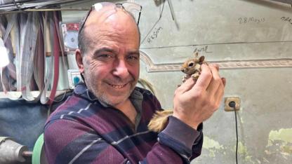 Bıçak ustası ile yavru sincabın ezber bozan dostluğu