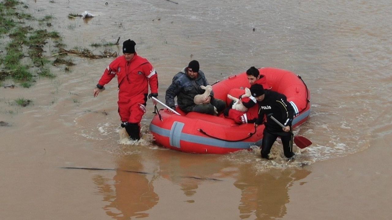Ezine’de Sular Yükseldi: Yeni Doğan Kuzular ve Sahibi Sular Altındaki Kışladan Böyle Kurtarıldı!