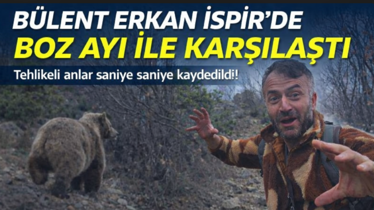 "Dağların Oğlu" ile Boz Ayı Burun Buruna Geldi! İspir’de Korku Dolu Anlar Kamerada
