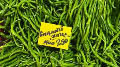 Sivri Biberde "Altın" Devri: Kilosu 250 Liraya Fırladı!