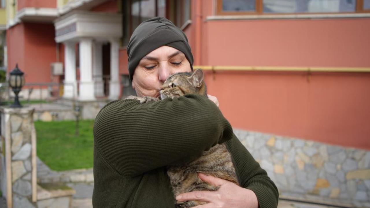 Sokak Kedilerine Ninni Söyleyen Kadın: Vildan Gizlenci'nin 20 Yıllık Şefkat Hikayesi