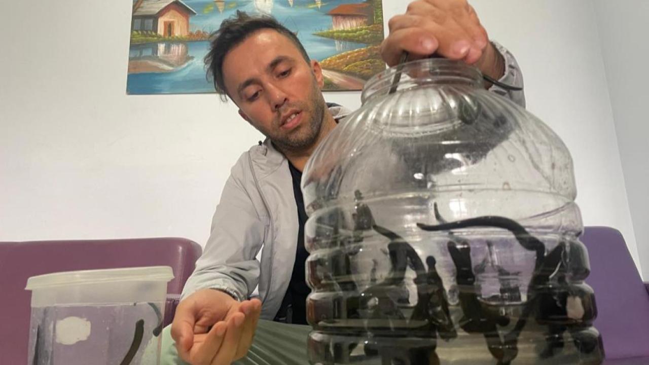 Sülüklerin Şifası Cilt Bakımına Taşındı: Rusya’dan Sonra Türkiye’de de Yeni Trend