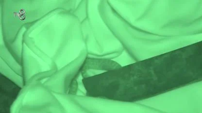 Survivor’da Panik Anları! Nagihan’ın Yatağından Yılan Çıktı: Bayhan Pala İle Koştu!