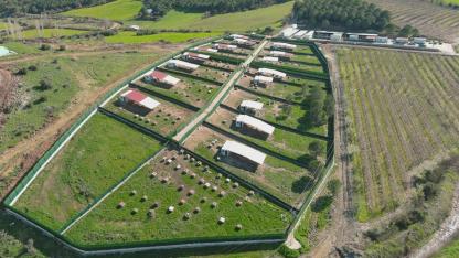 Valilik Duyurdu: Sahipsiz Hayvan Çalışmalarında Hedef %125 Aşıldı!