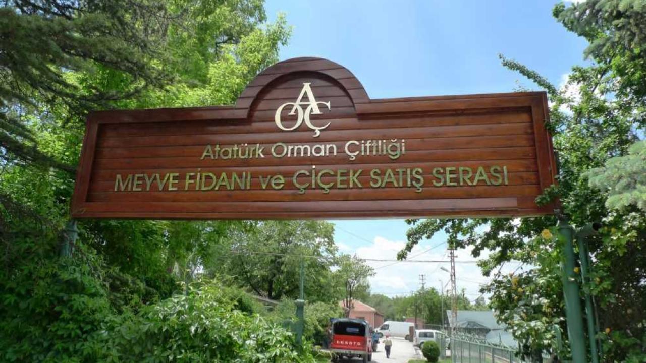 Ankara’da Dev Kiralama Hamlesi! Göksu Parkı ve Atatürk Orman Çiftliği’nde İşletme Sahibi Olma Fırsatı