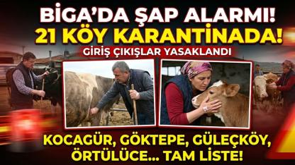Biga'da şap alarmı: 21 köy karantinaya alındı!
