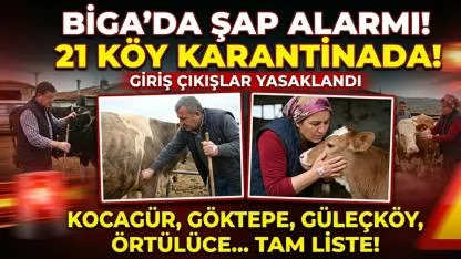 Biga'da şap alarmı: 21 köy karantinaya alındı!