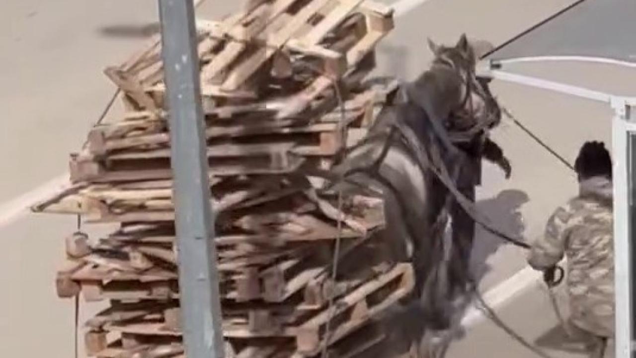 Bursa'da Yürek Sızlatan Görüntü: Aşırı Yük Altında Ezilen Atın Zor Anları