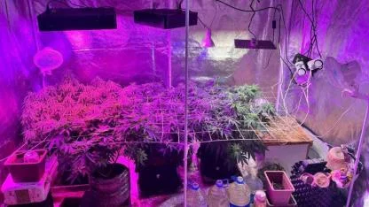 Çanakkale'de Jandarmadan Dev Operasyon: Tutuklamalar Var