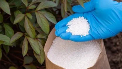 Çiftçiye Büyük Müjde: Tarımda Amonyum Nitrat Dönemi Yeniden Başlıyor