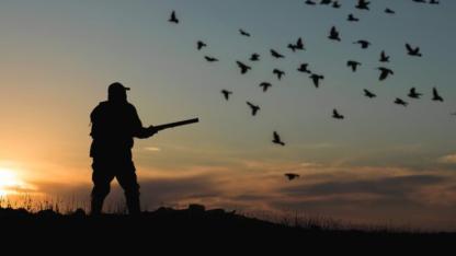 Doğada Üreme Dönemi Başladı: 2025-2026 Av Sezonu Sona Erdi