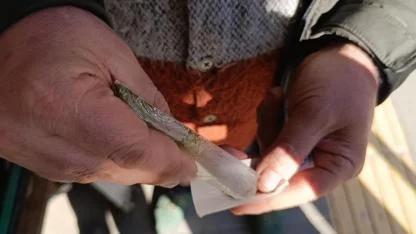 Günde 8 Paket Sigaraya Bedel: Maraş Otu Sinir Sistemini Altüst Ediyor