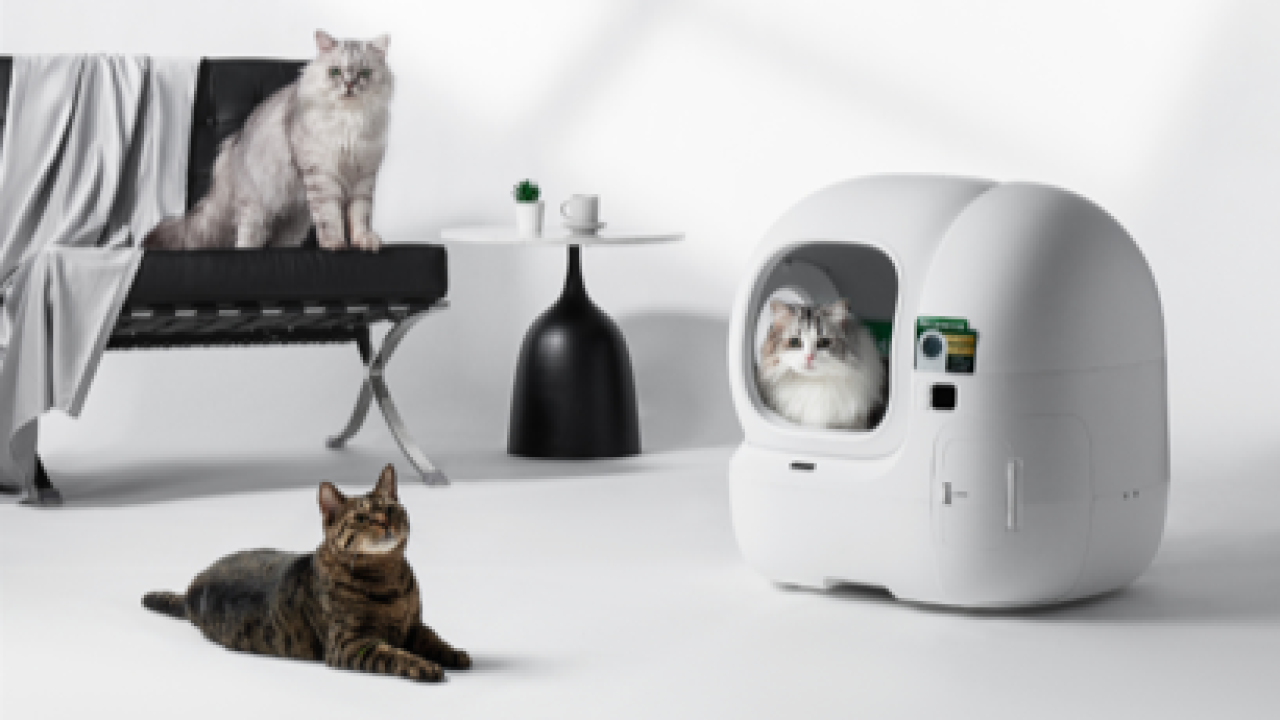 Kedilerin Gizli Hastalıklarına Yapay Zeka Kalkanı: PETKIT PUROBOT MAX PRO 2 Sahneye Çıktı