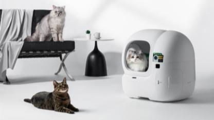 Kedilerin Gizli Hastalıklarına Yapay Zeka Kalkanı: PETKIT PUROBOT MAX PRO 2 Sahneye Çıktı
