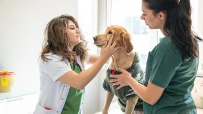 KPSS 60 Yeterli! Tek Kadro İçin Büyük Yarış Başladı… Başvuru Detayları Şaşırttı