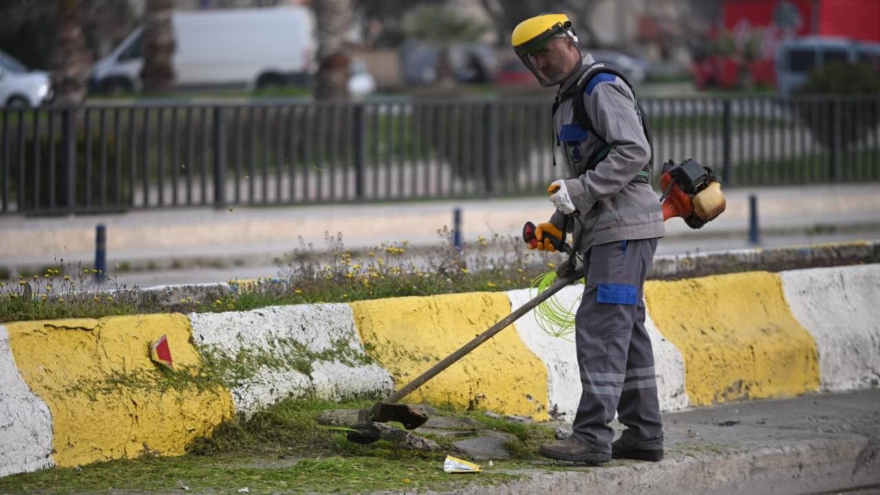 Otlar biçiliyor, Çanakkale temizleniyor!