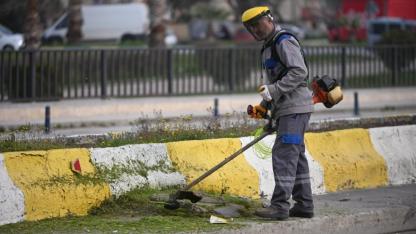 Otlar biçiliyor, Çanakkale temizleniyor!