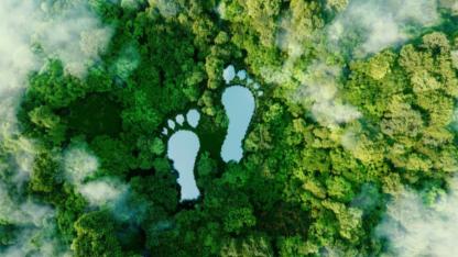 Karbon ayak izinizi hesapladınız mı? Çanakkale Belediyesi çevresel karnenizi açıklıyor