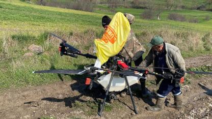 Hacıpehlivan'da dronla gübreleme dönemi