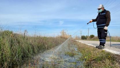 Bozcaada genelinde vektörle mücadele