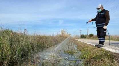 Bozcaada genelinde vektörle mücadele