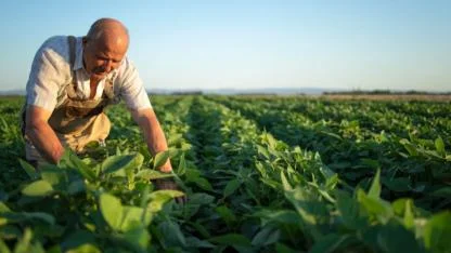 Gıda Krizi Kapıda mı? Ezine Ziraat Odası'ndan yetkililere çağrı