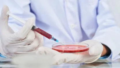 Şeker Hastalığında İnsülin Devri Kapanıyor mu? Kök Hücre Tedavisiyle İlk Kez Tam İyileşme Sağlandı